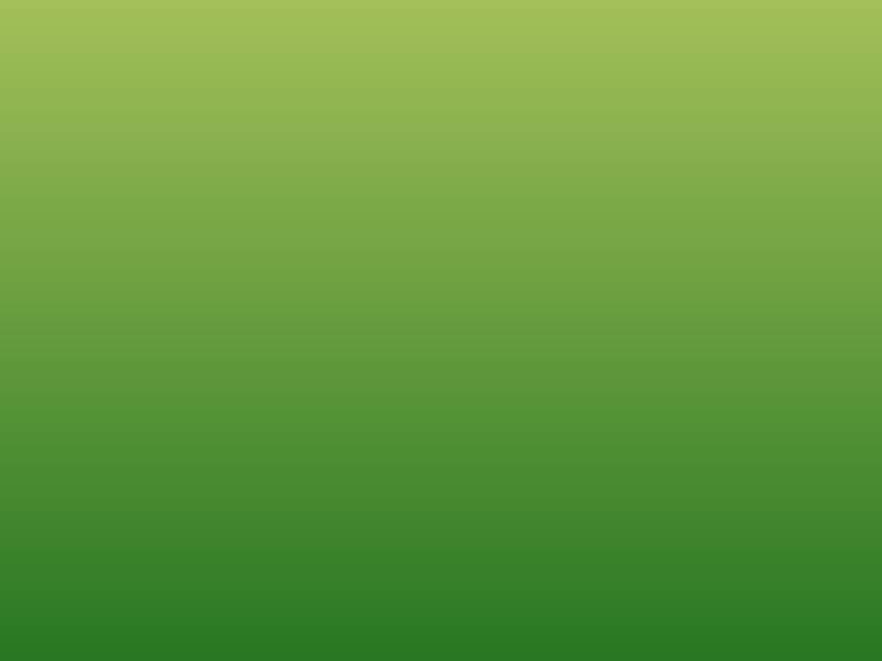 Damico SPA Affittacamere